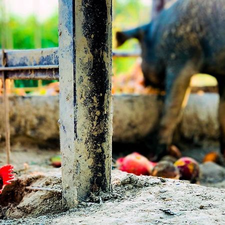 Relais Tenuta Gentili San Liberato エクステリア 写真