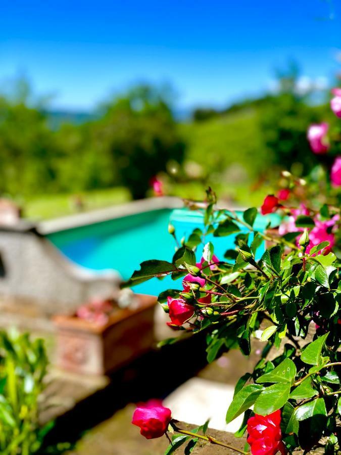 Relais Tenuta Gentili San Liberato エクステリア 写真