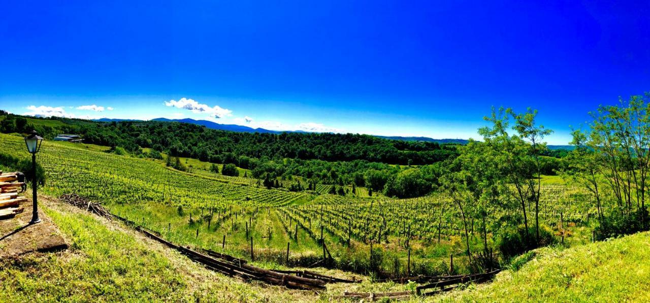 Relais Tenuta Gentili San Liberato エクステリア 写真